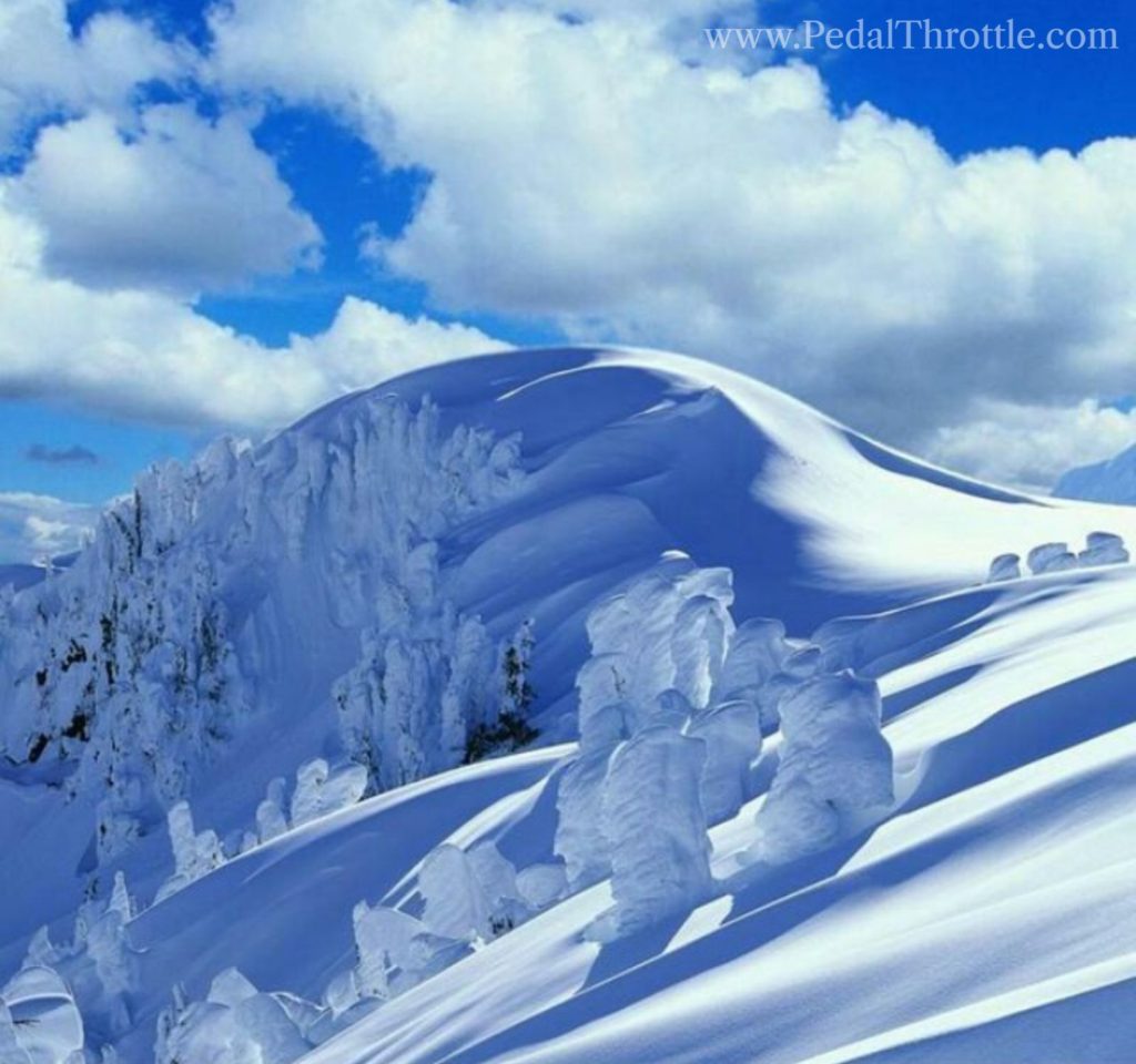 Snowline (Triund trek)