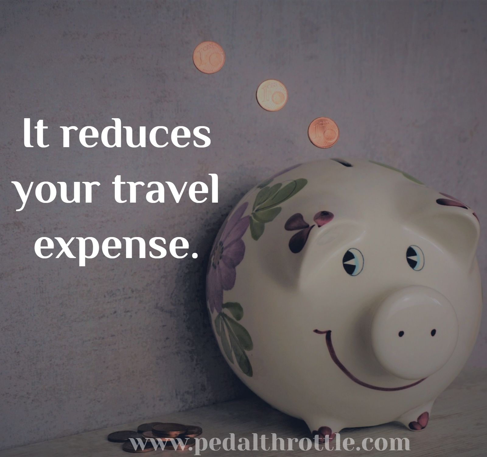 It reduces your travel expense_img